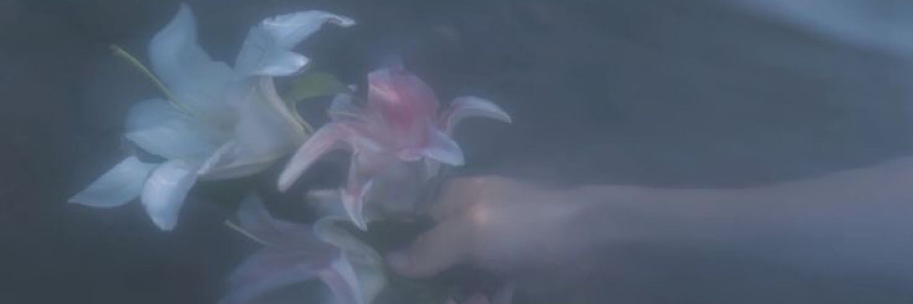 花𓍢ִ໋🀦