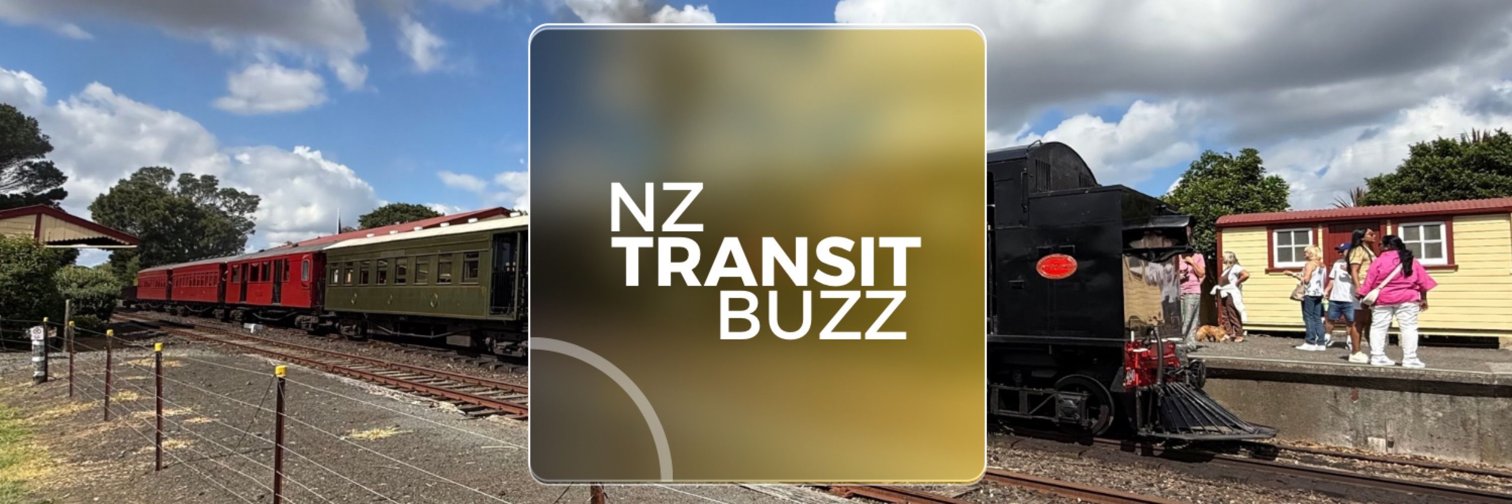NZ Transit Buzz