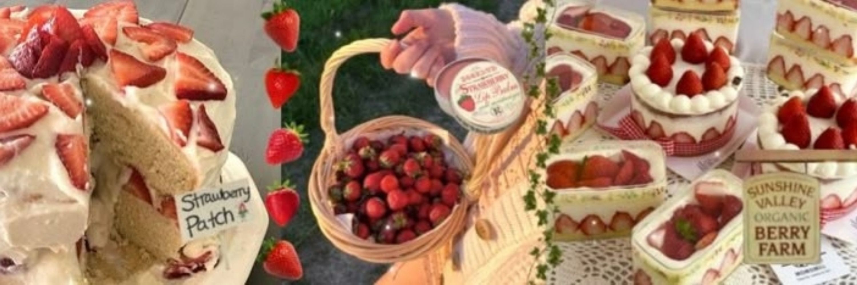 bubu⁷ 🍓