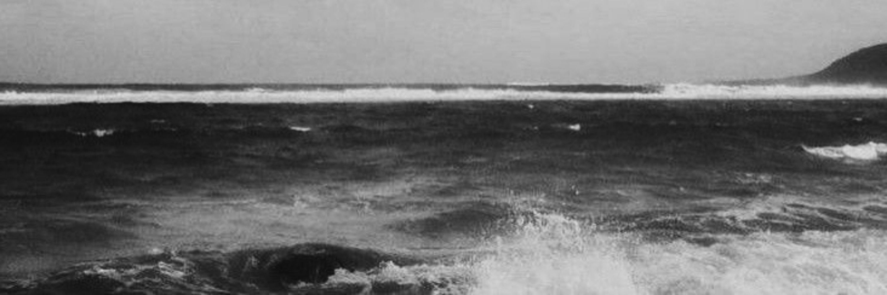 Maquises