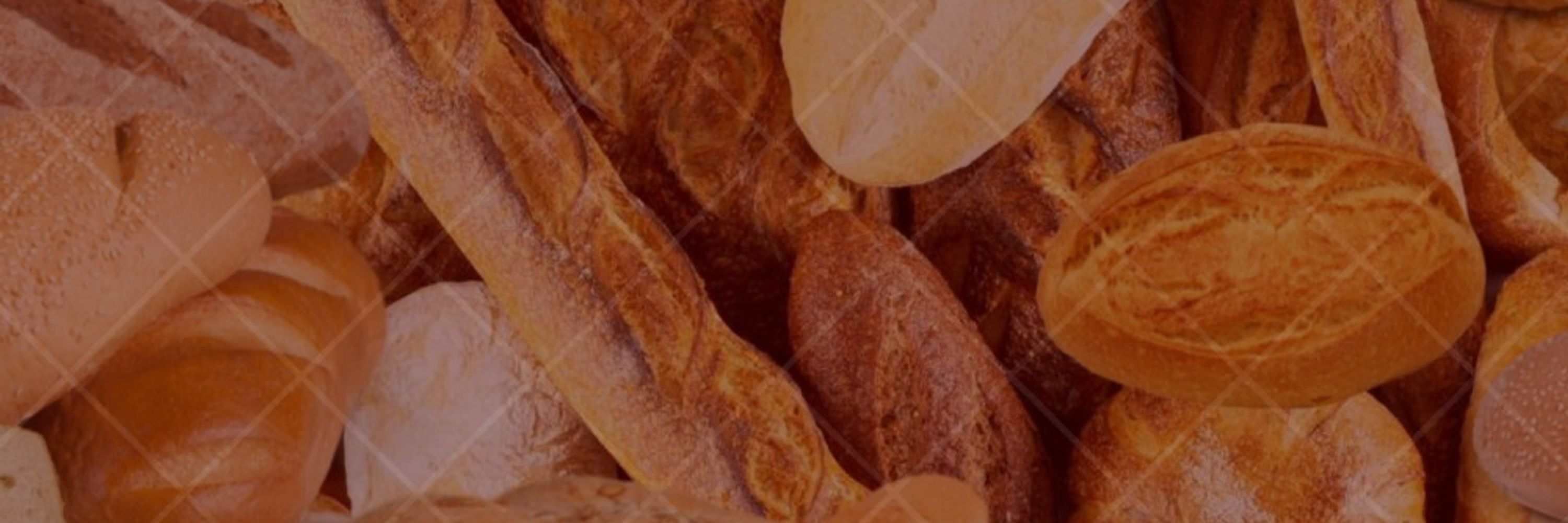 SakuofBread 🌸🍞🥖 Debut 2025⚔️🪄
