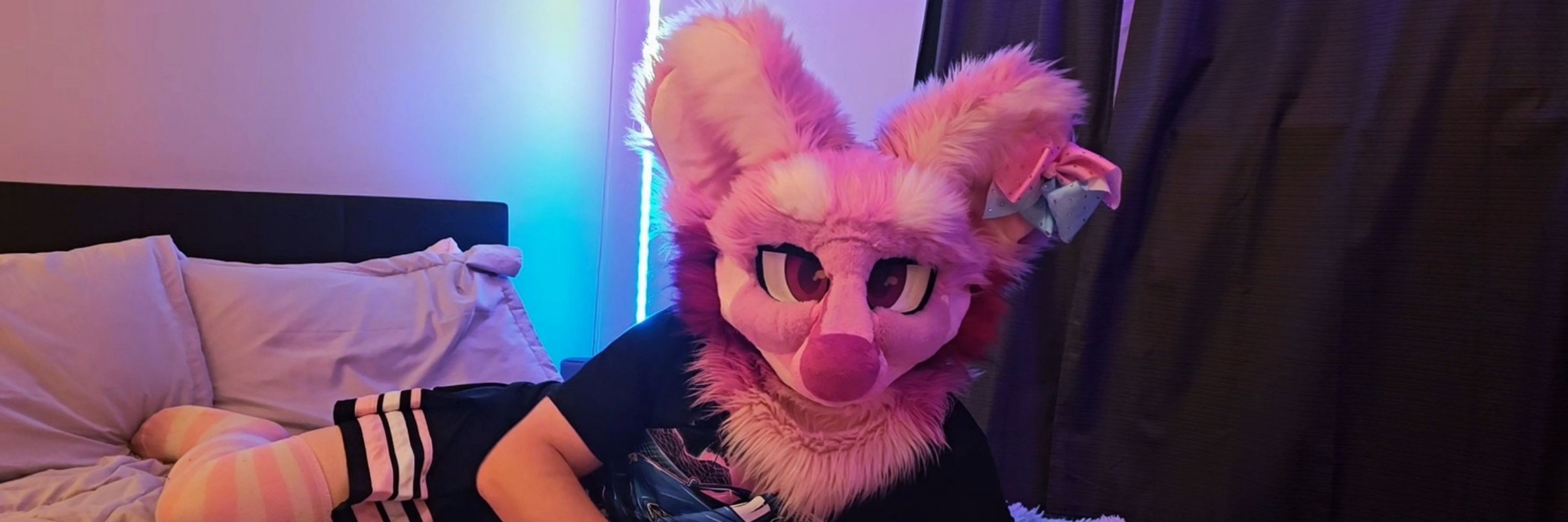 Aspen 🦊🦌 🔜 FWA
