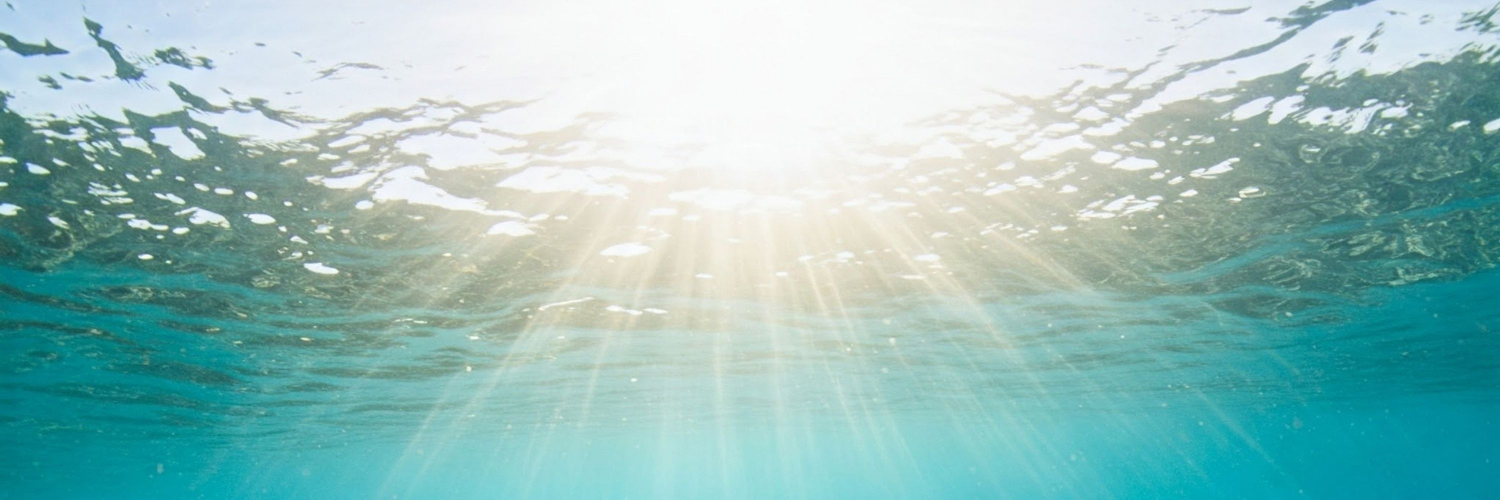 深藍海🌊