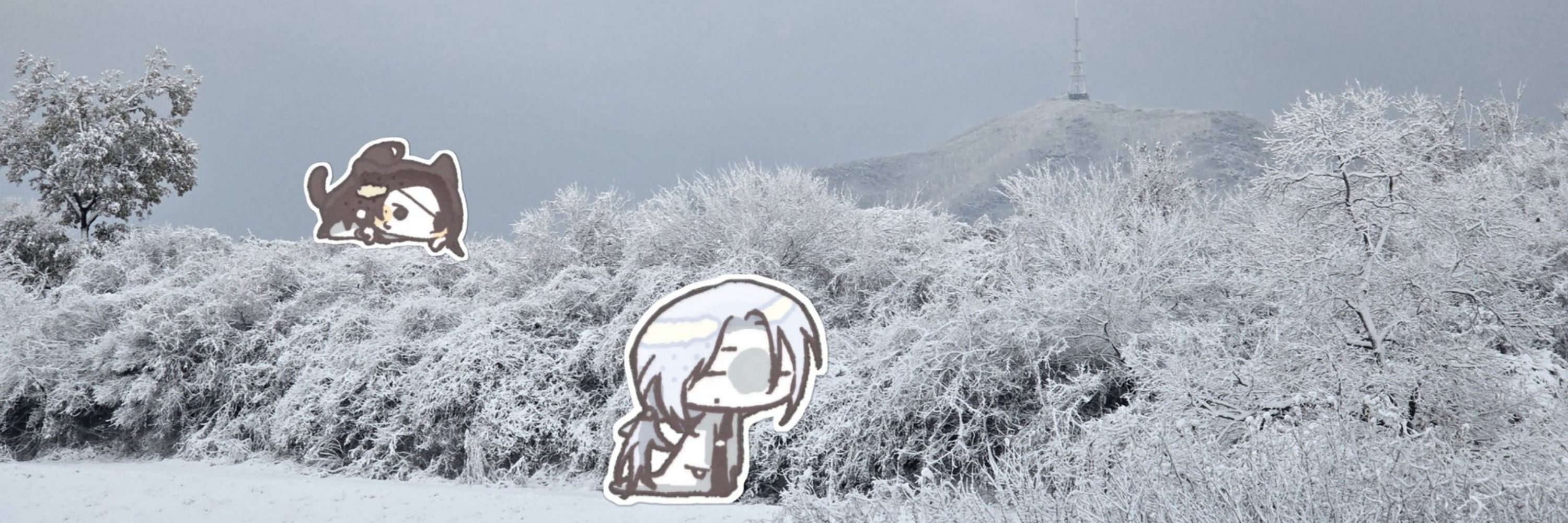 배신자
