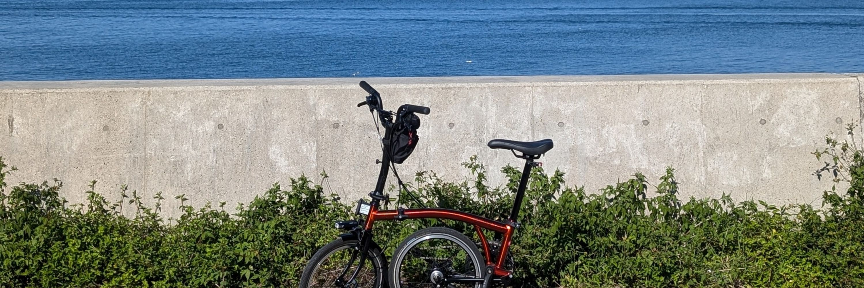 HARO