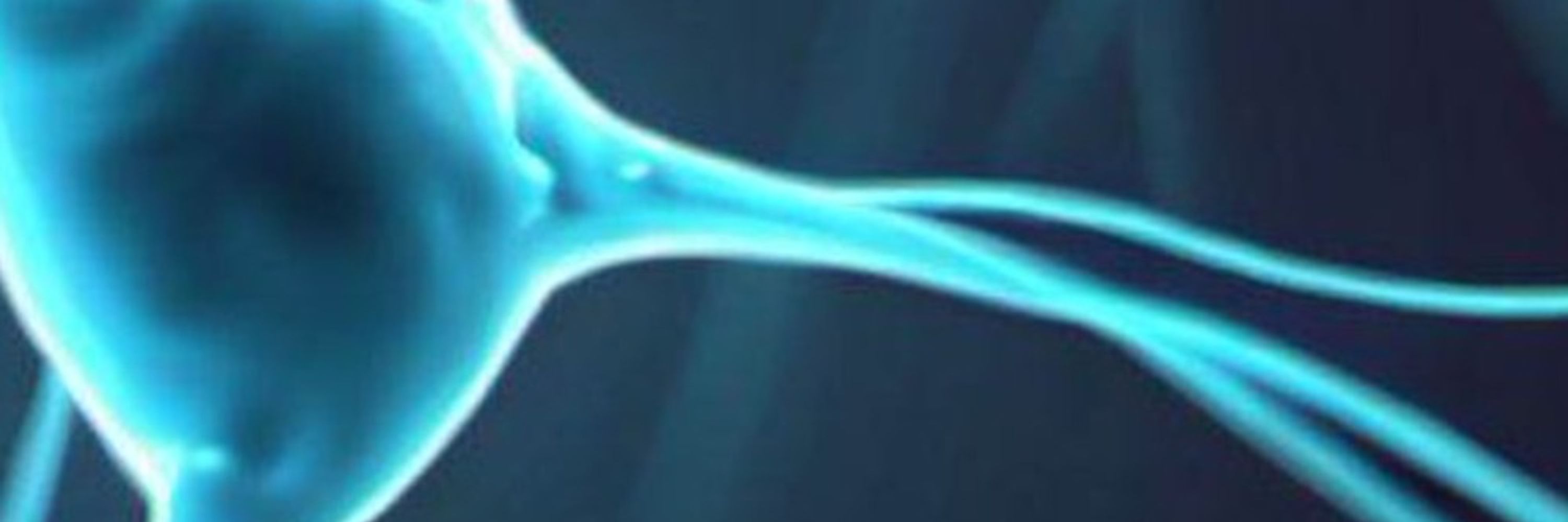 Decision Neuroscience and Neuroeconomics Papers