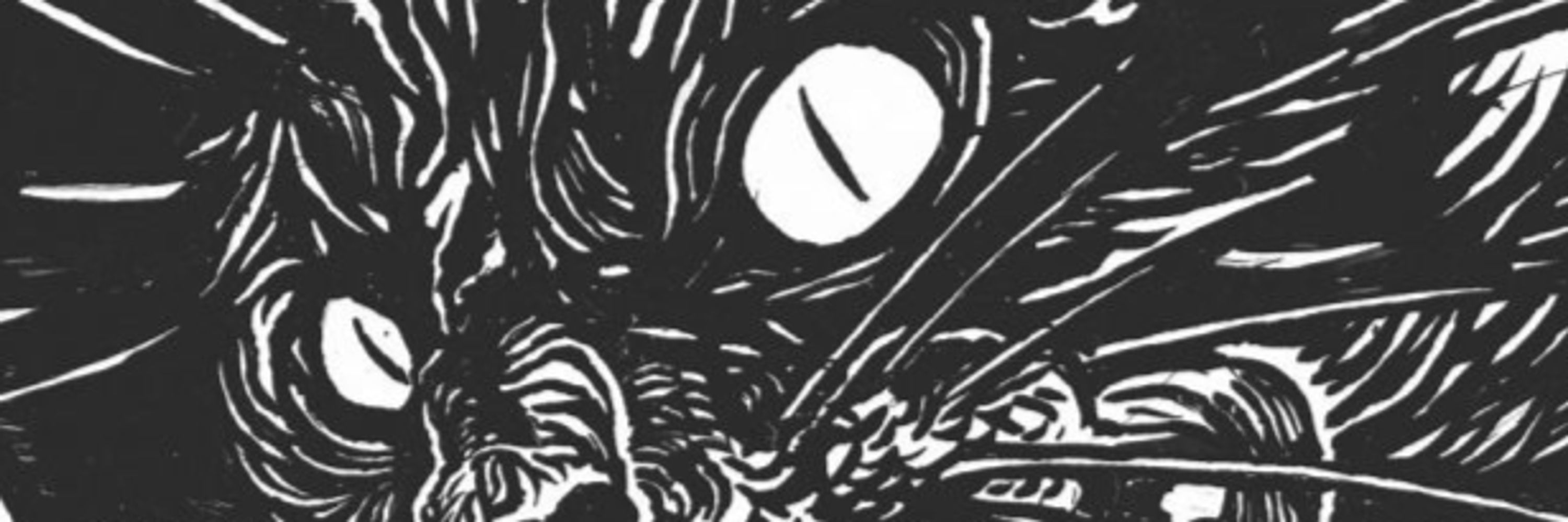 Manchester & Salford Anarchist Bookfair