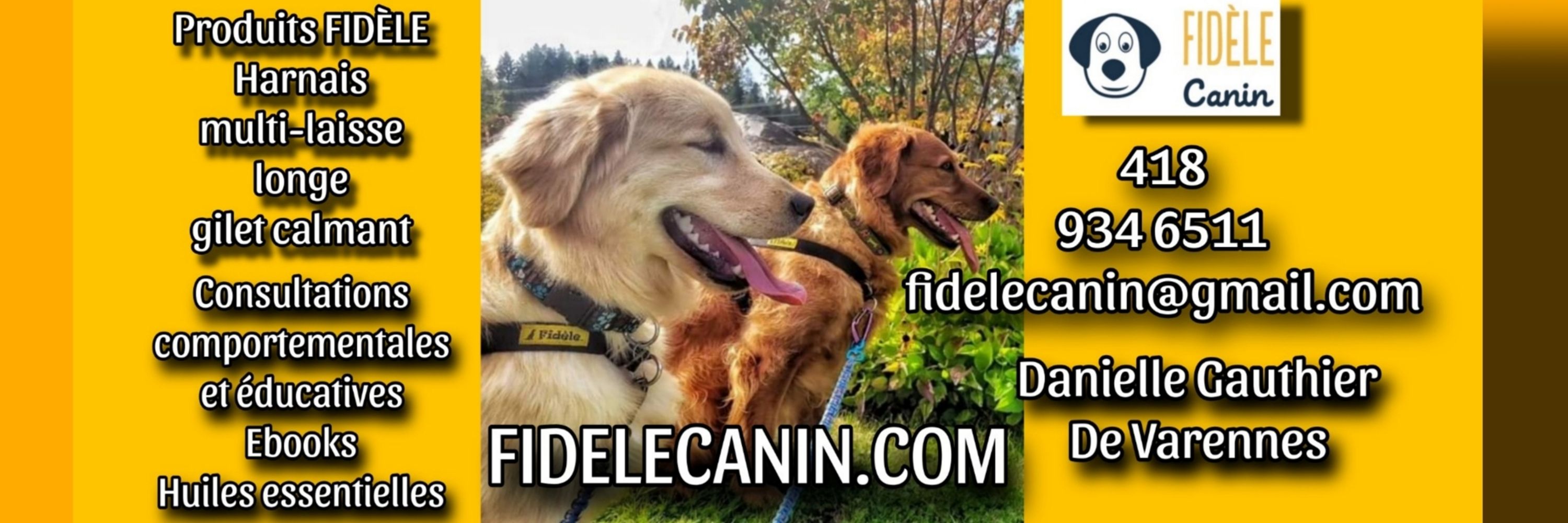 Danielle Gauthier De Varennes, FIDÈLE CANIN