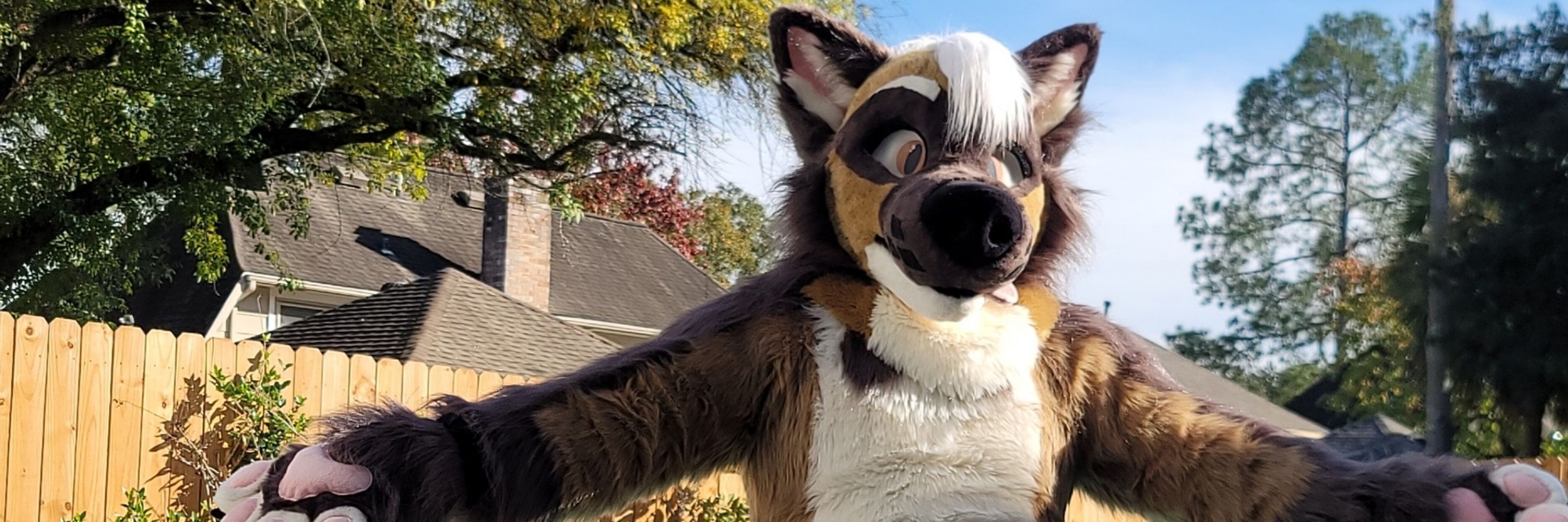 Badger! 🔜 FWA