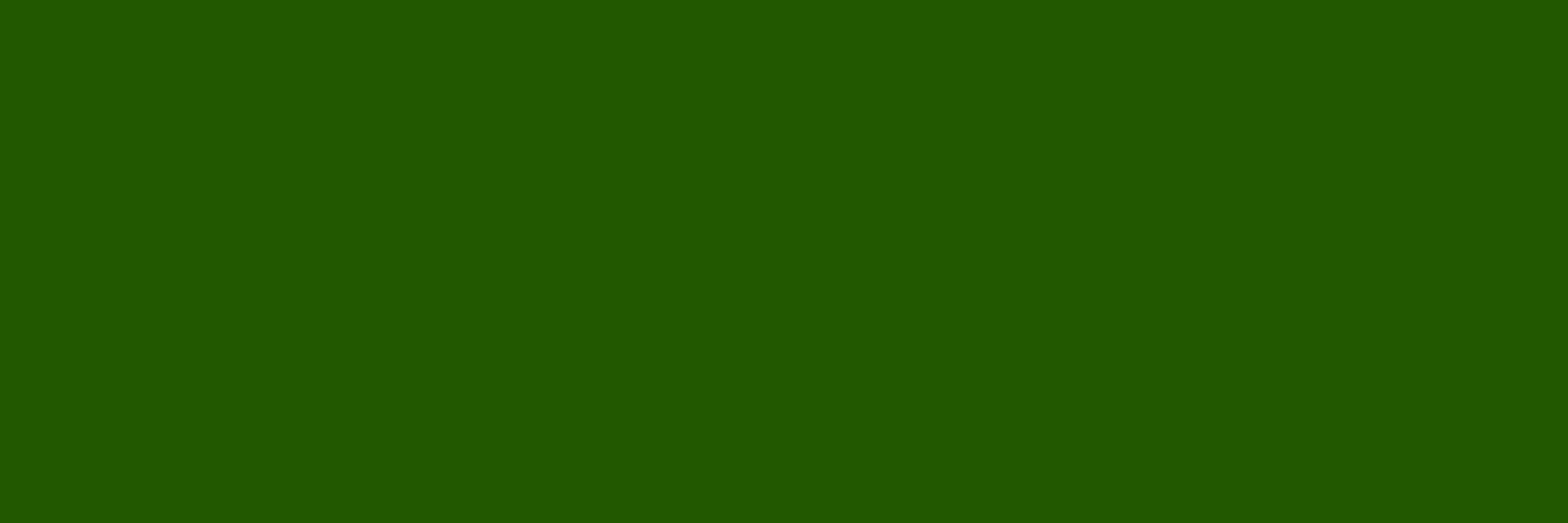 Toon Lonk