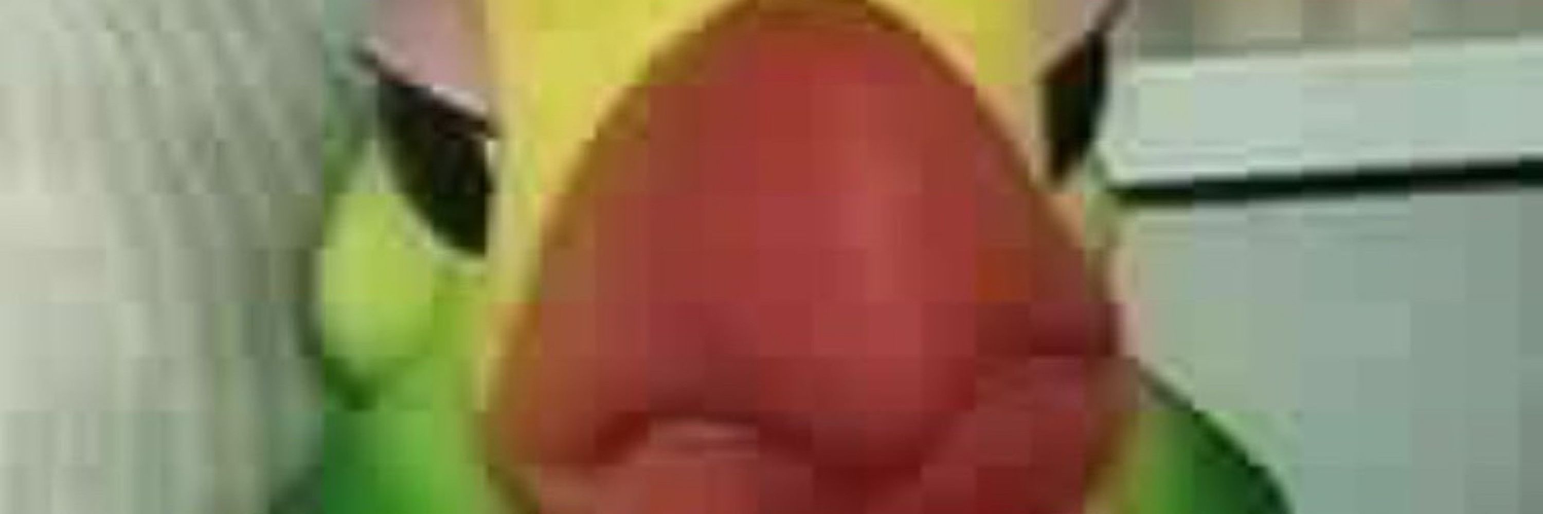 Controle Y