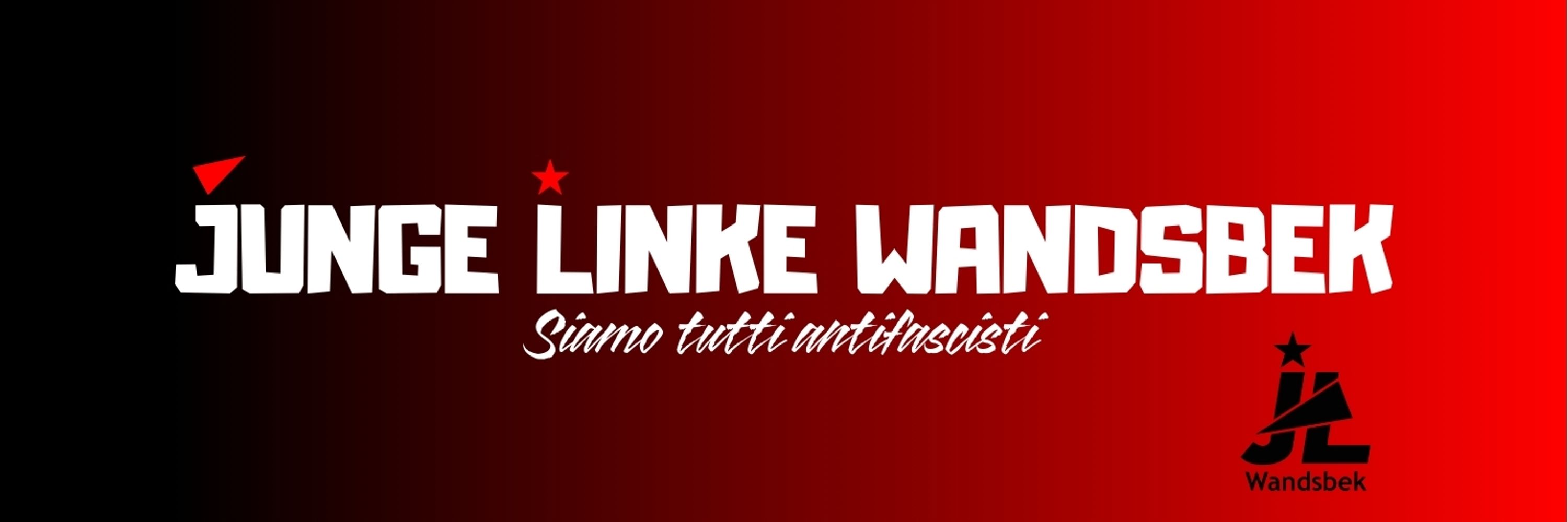 Junge Linke Wandsbek