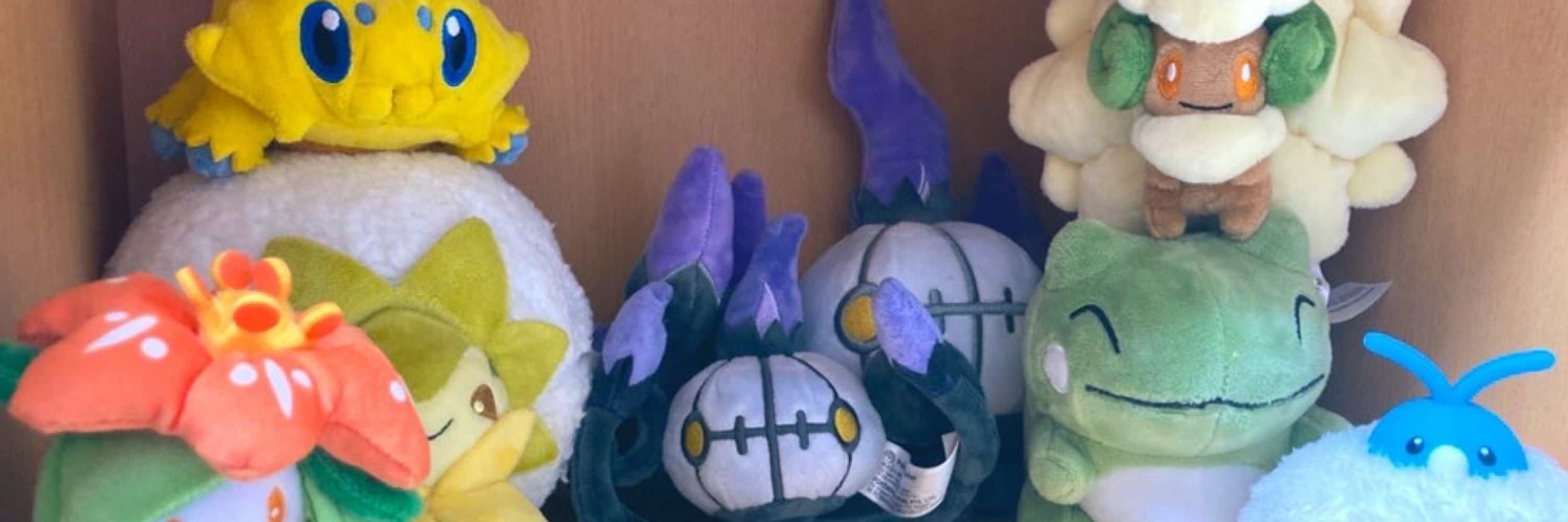 ✿花玥ソラ🐉