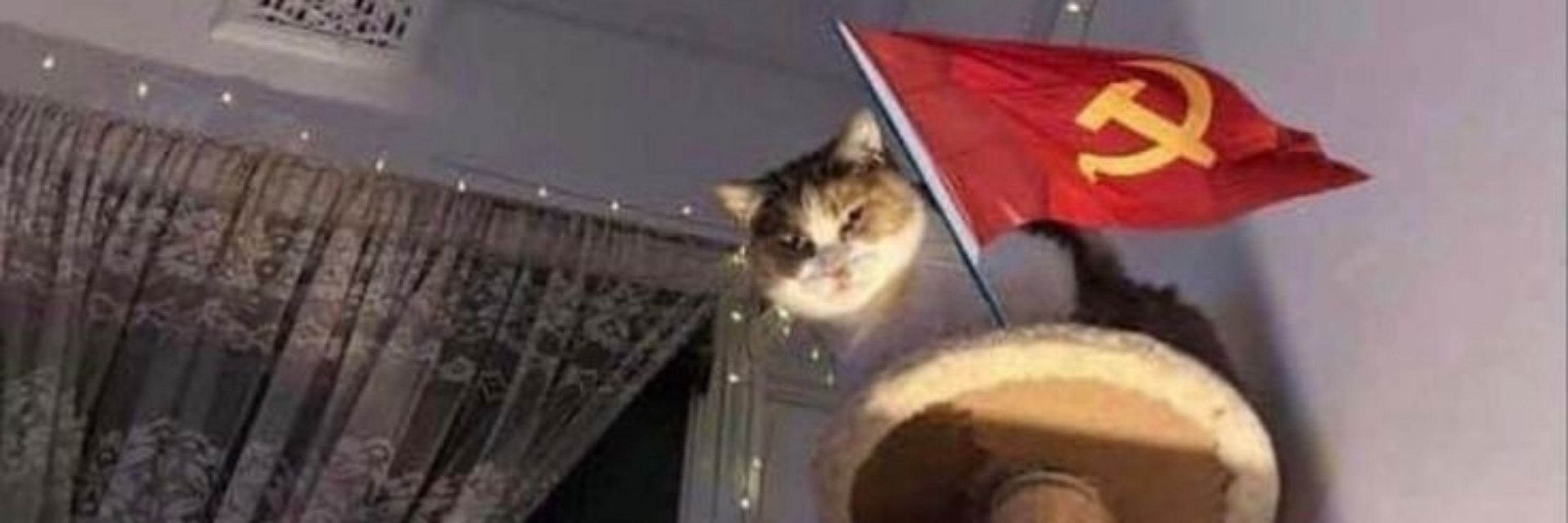 Kelly a Comunista versão 2.0