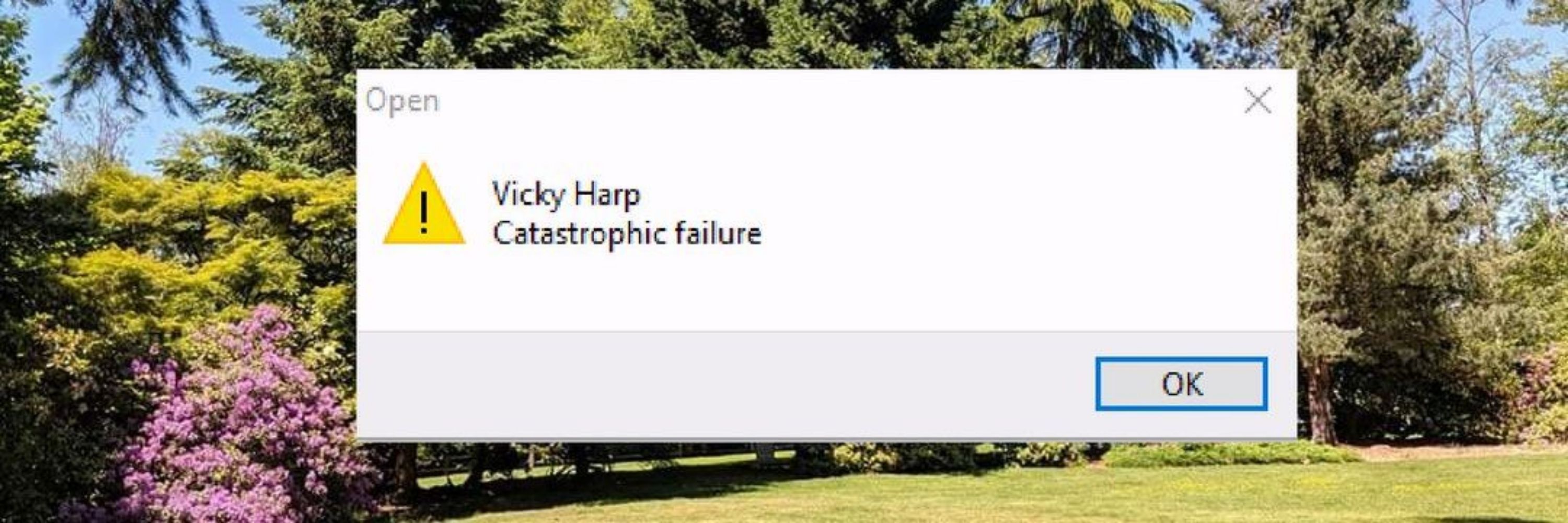 Vicky Harp