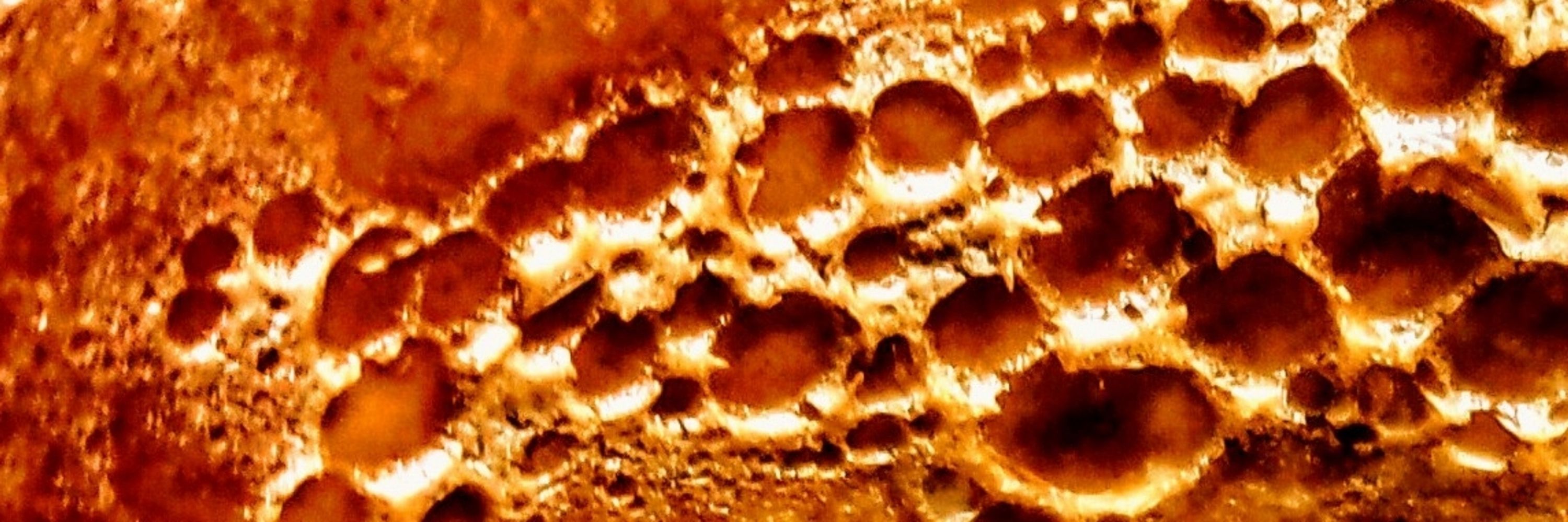 Peer Nelenugrek