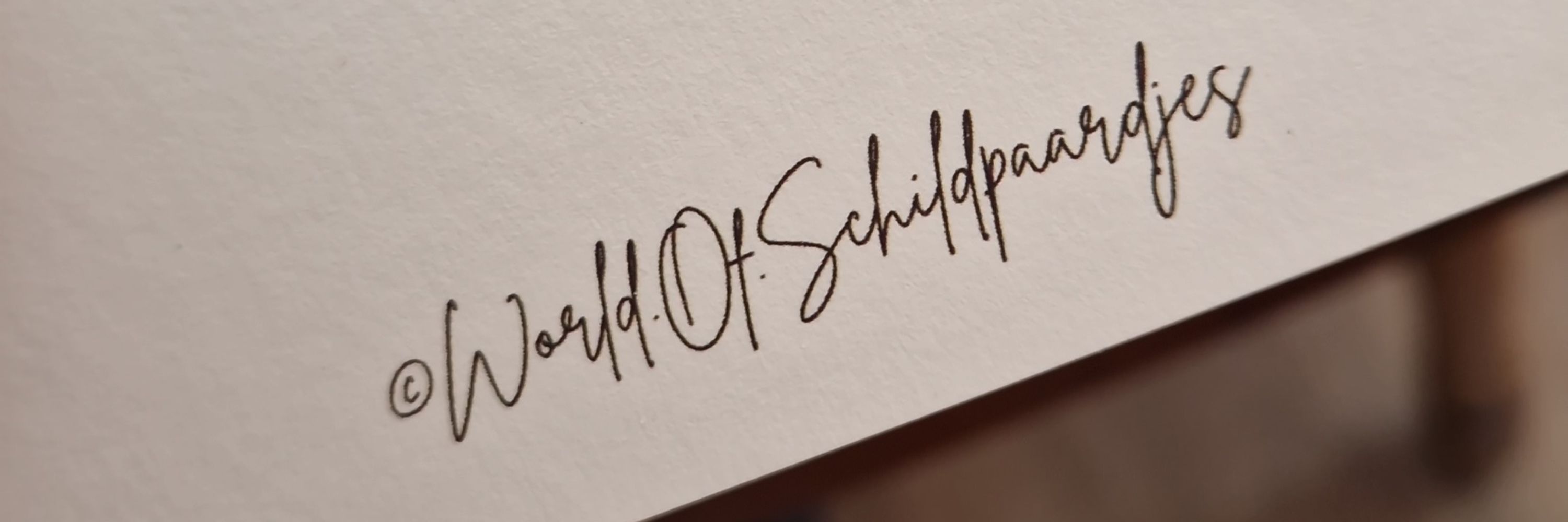 World Of Schildpaardjes