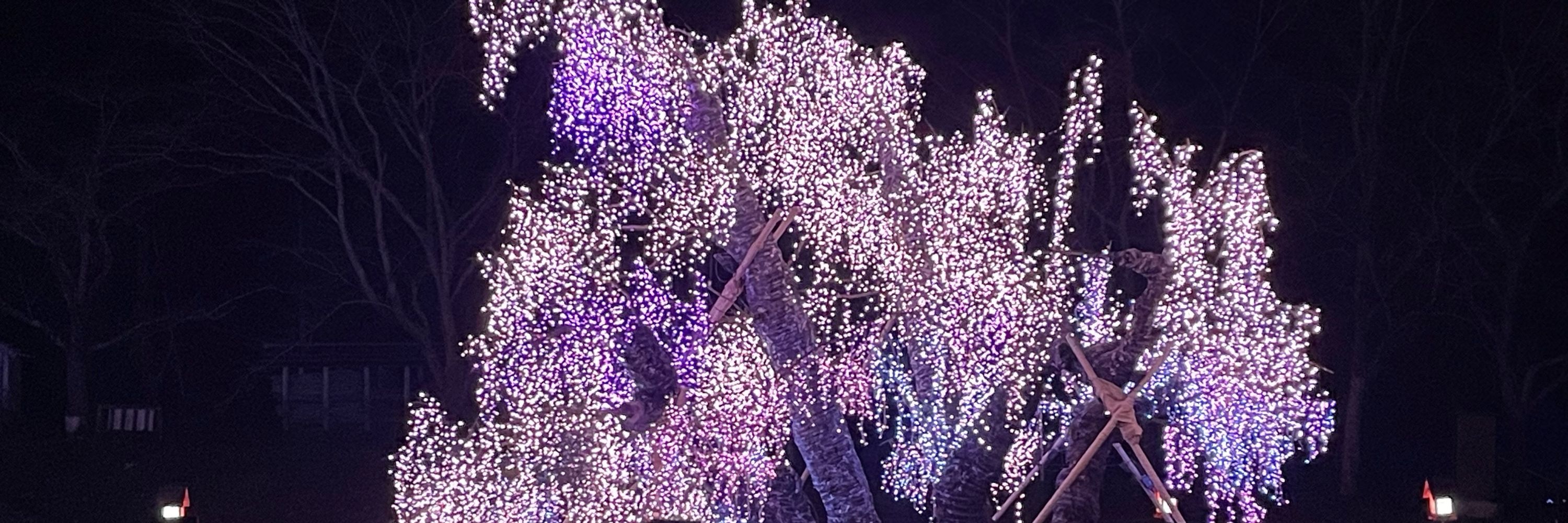 かずやん