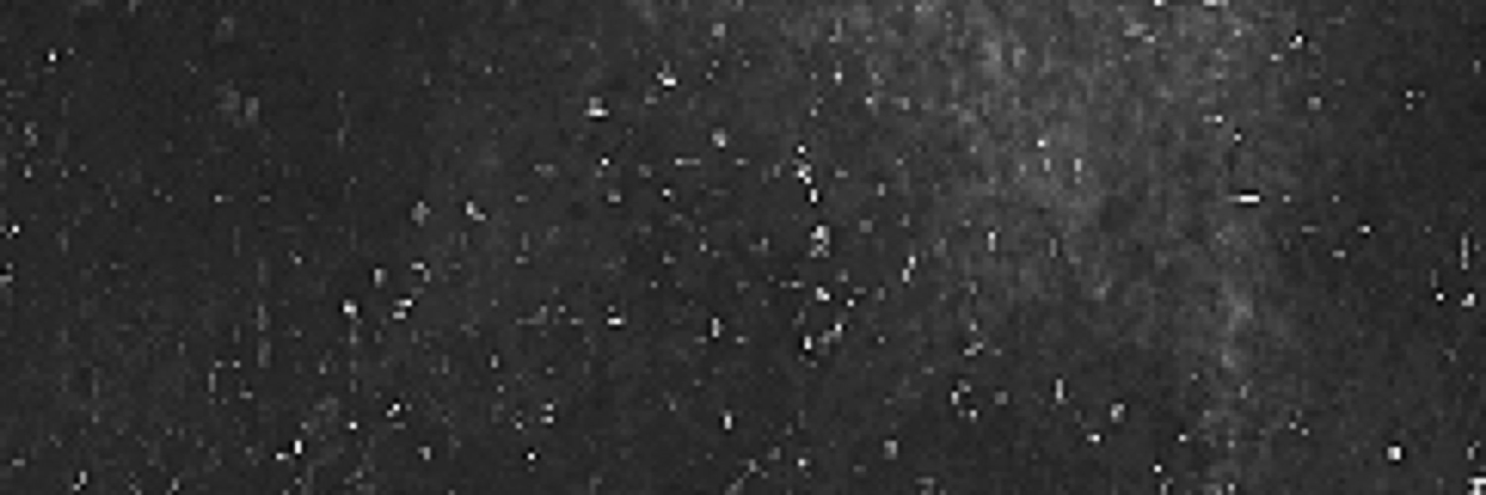 ✦ Atraneri ✦