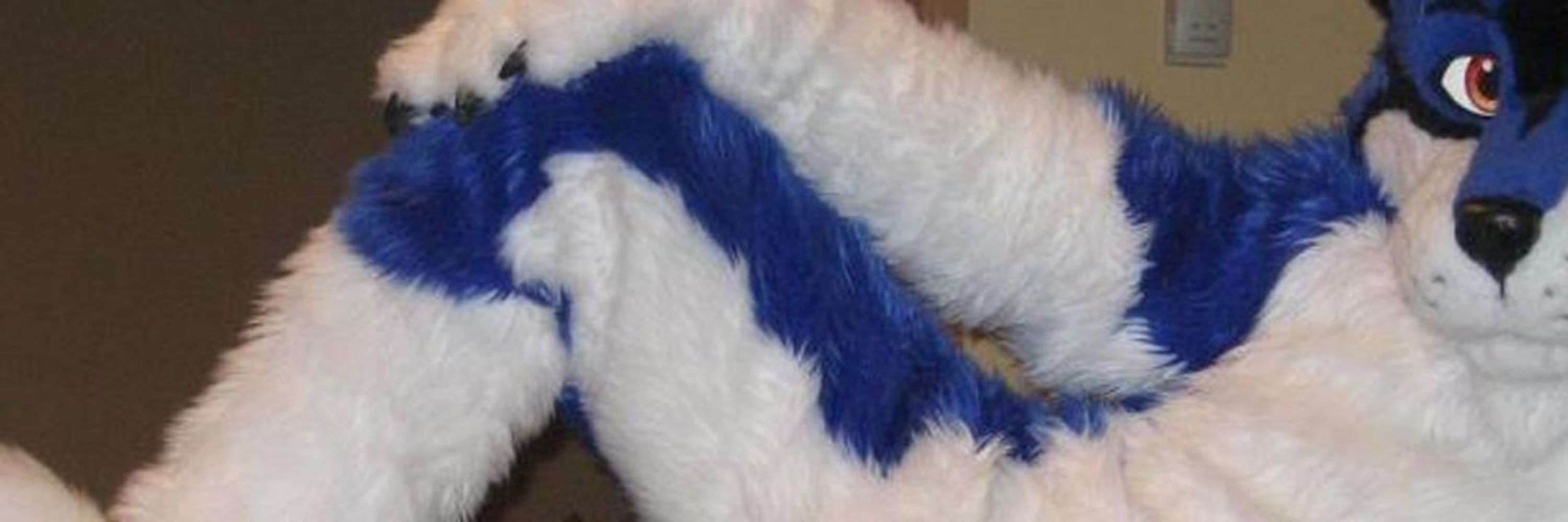 BashfulWolf