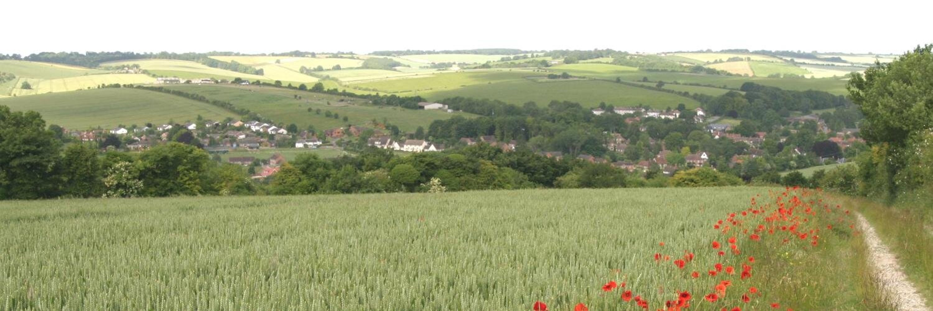 Aldbourne Archive