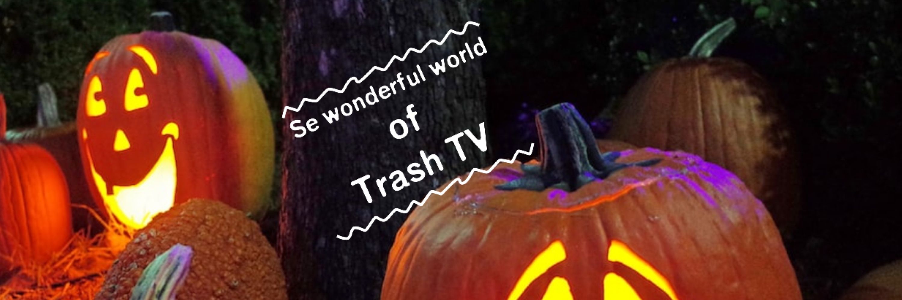 Trash_Trine ❄️📺♻️