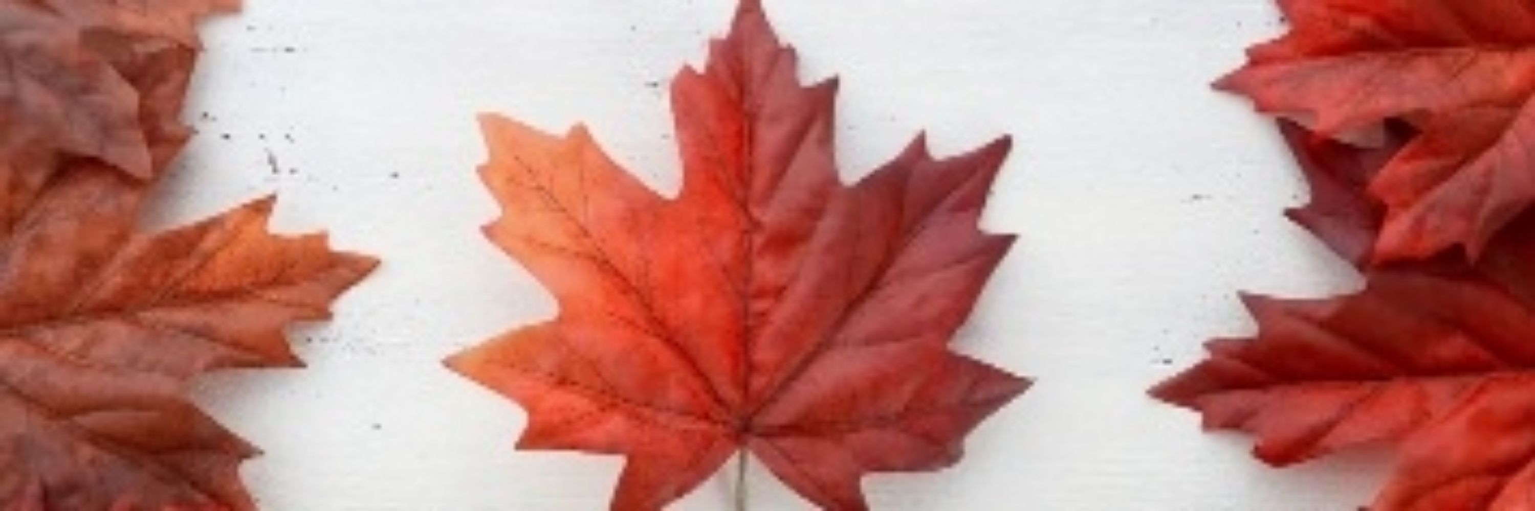 🇨🇦Sheraven🇨🇦