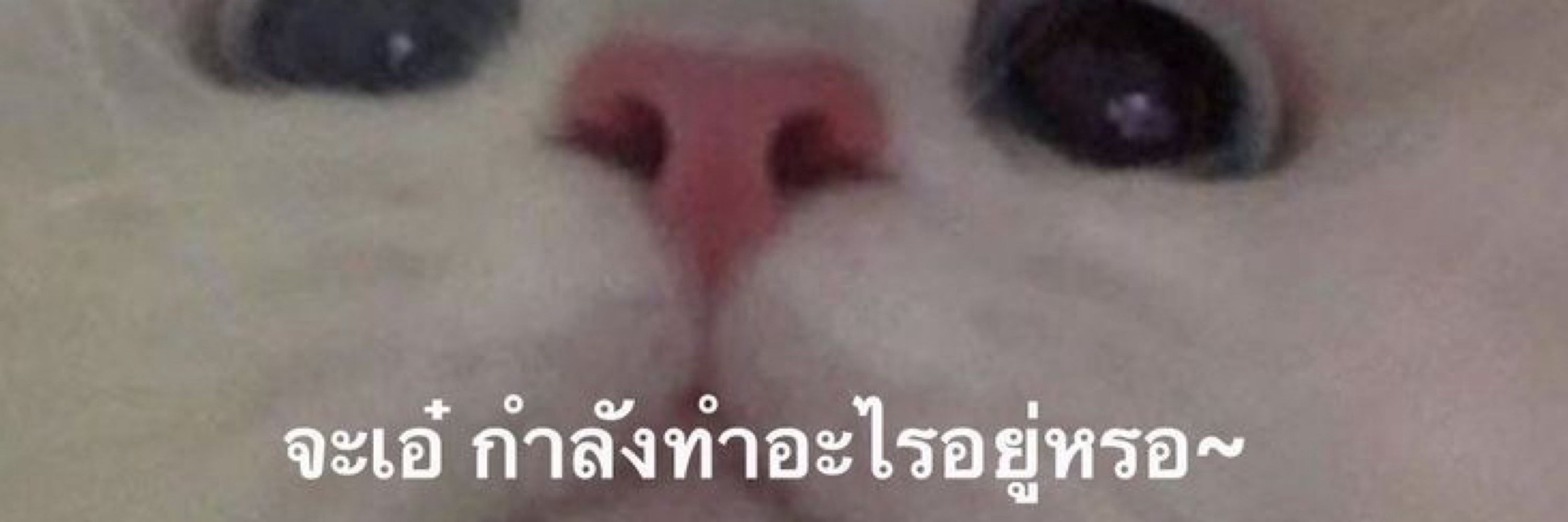 จอมอ