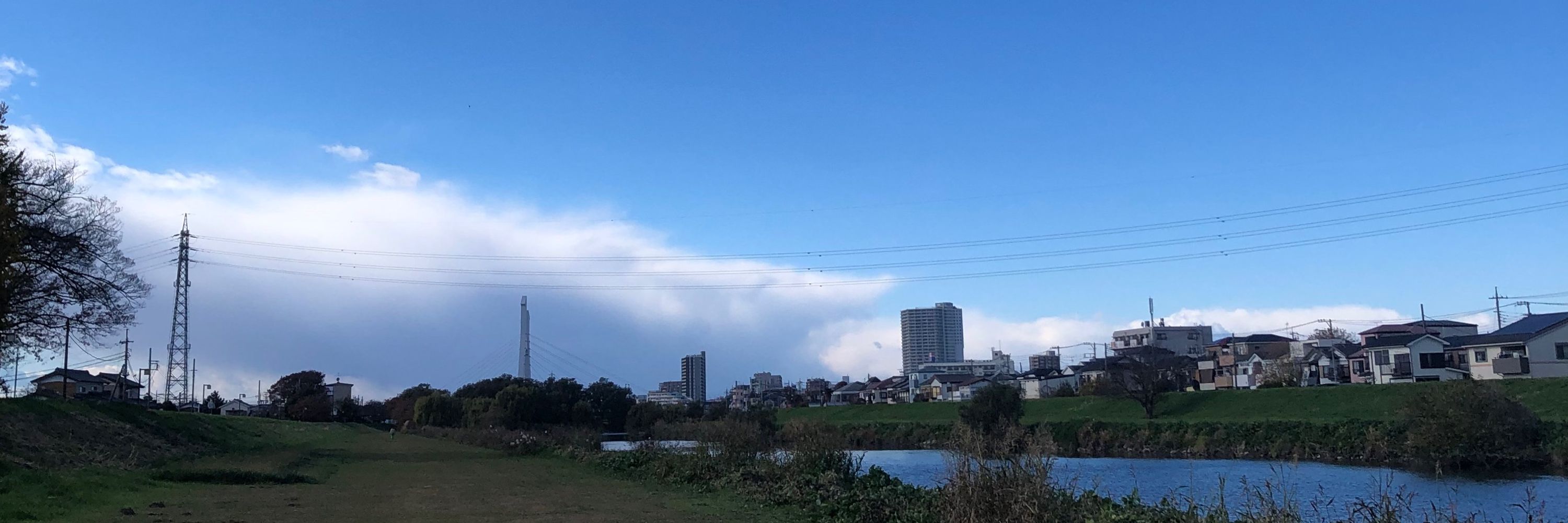 日曜日の公園