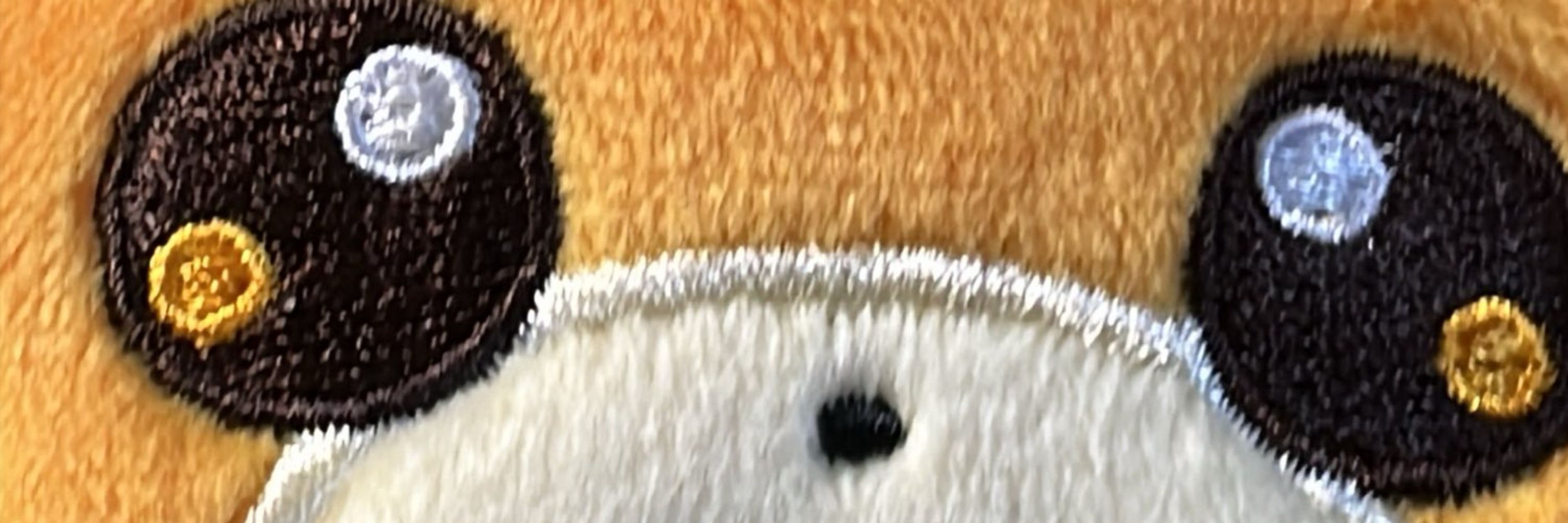 過去問の轟き