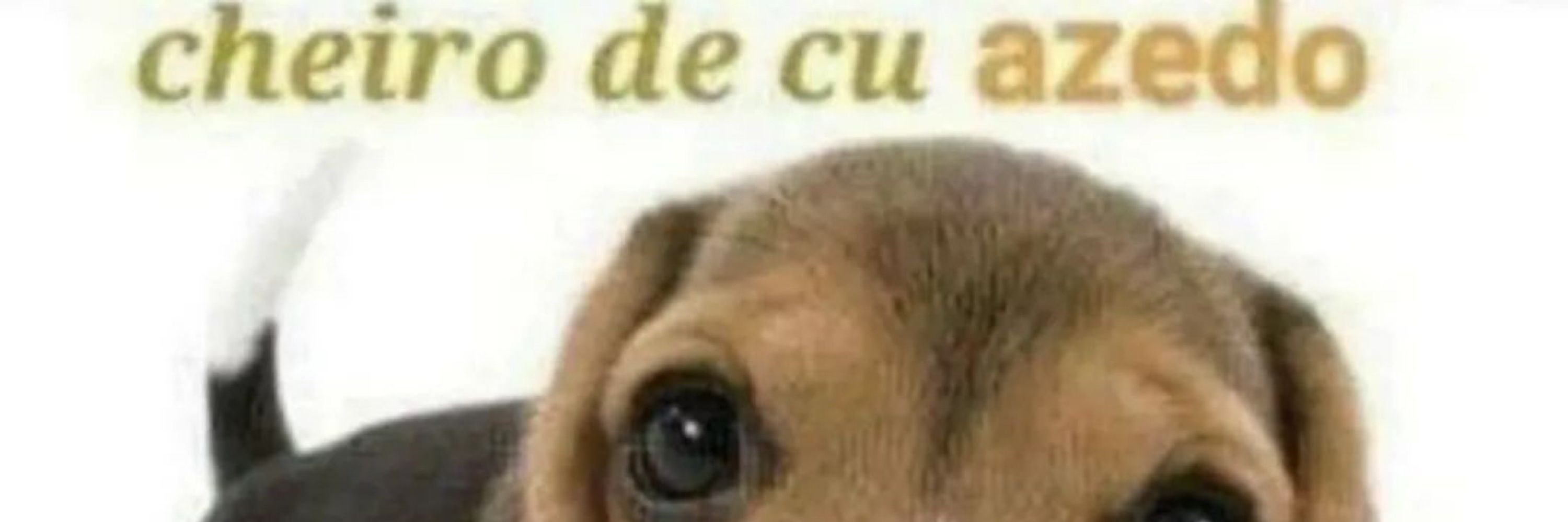 Passivo Puto RN