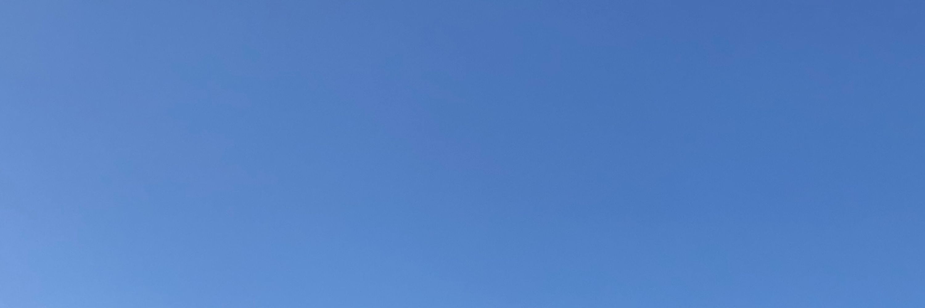 かに