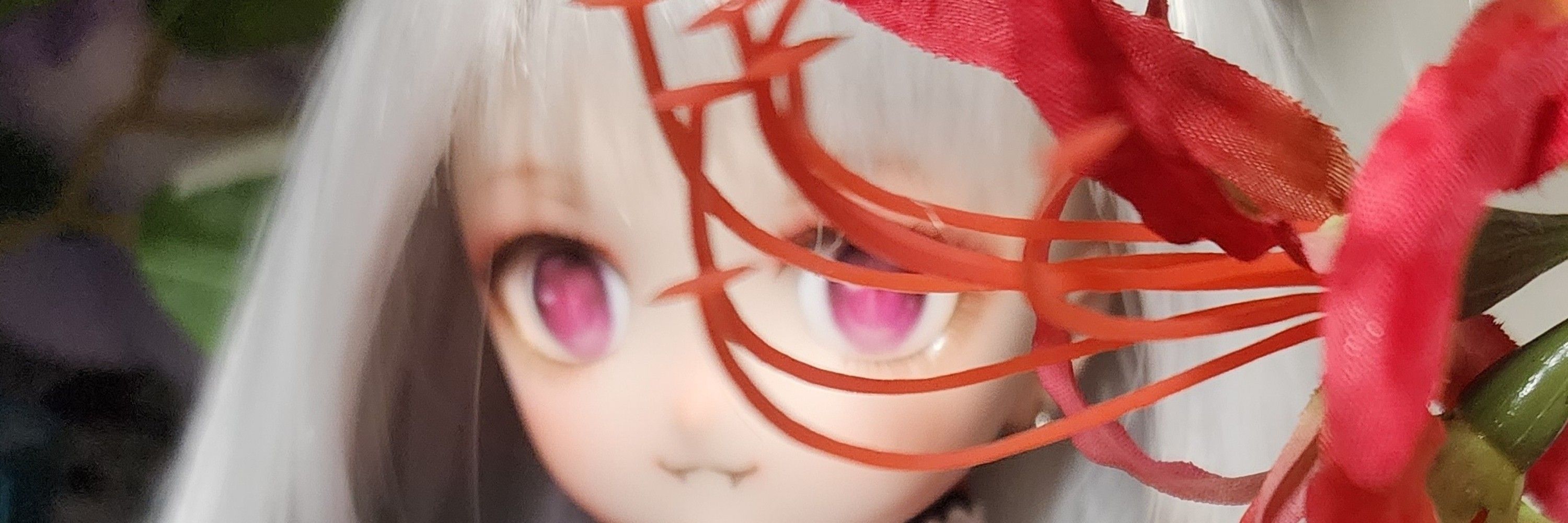 なまこ