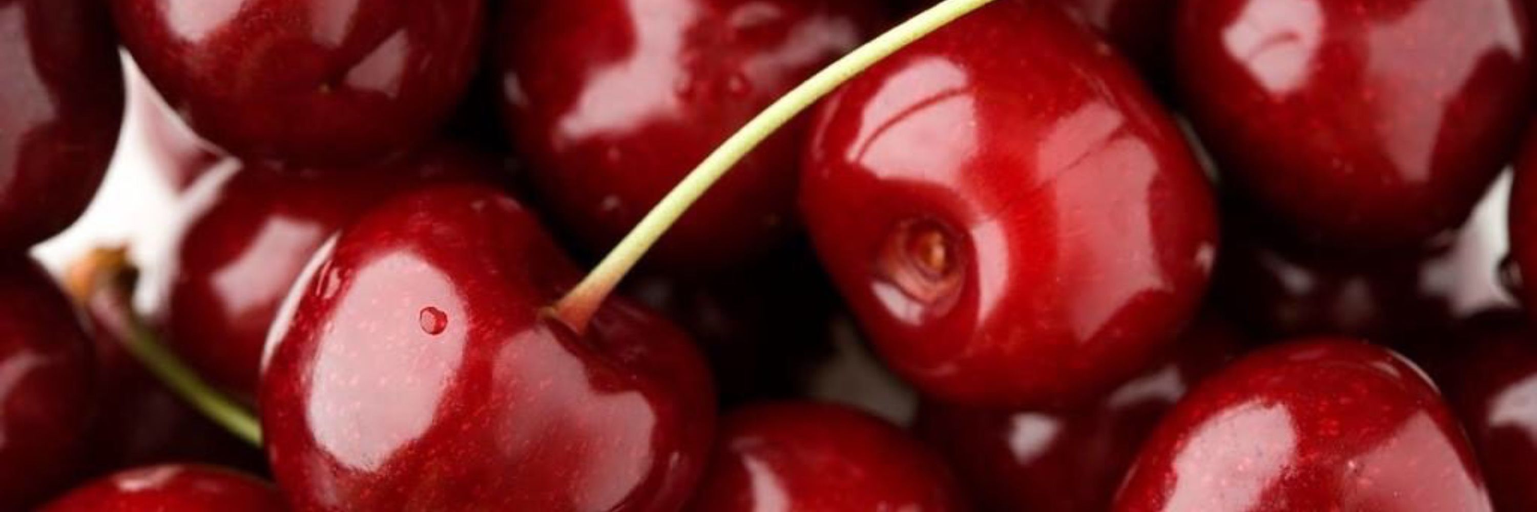 Cherry Bear