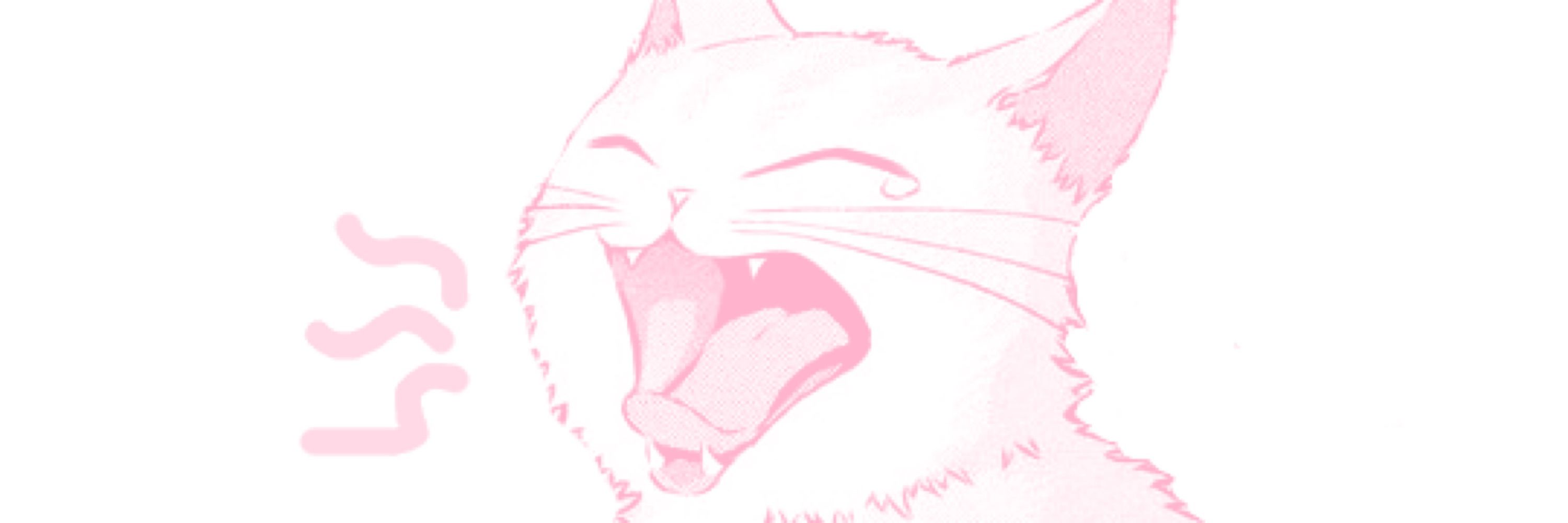 kitty!