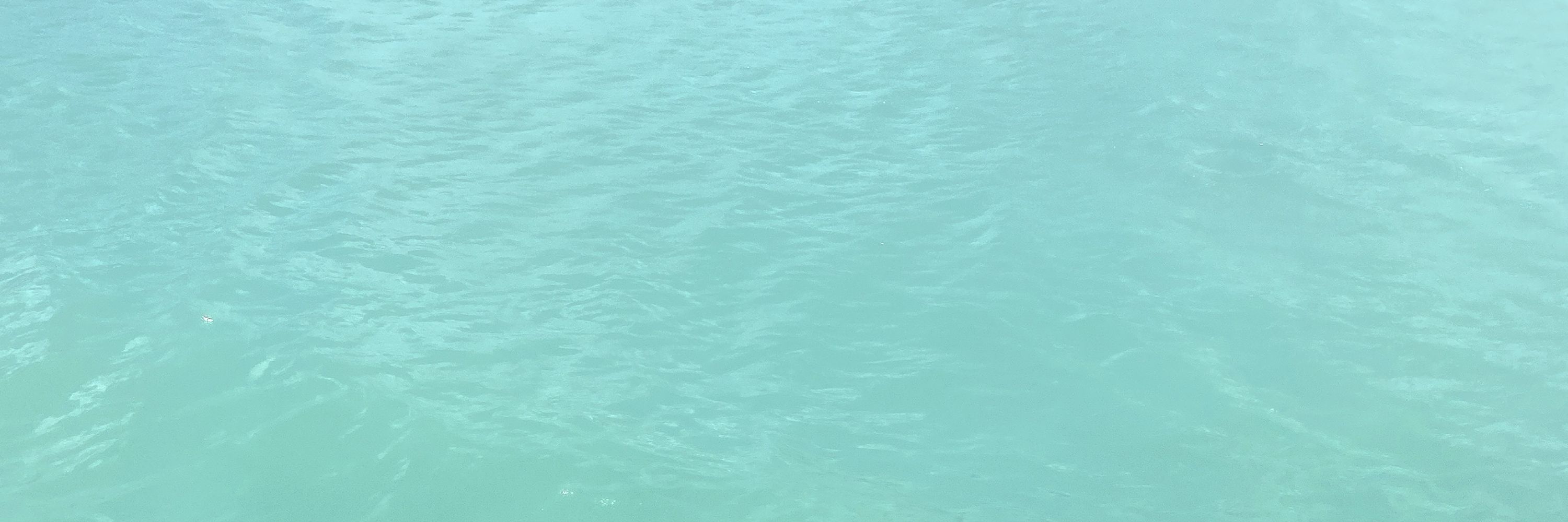 め