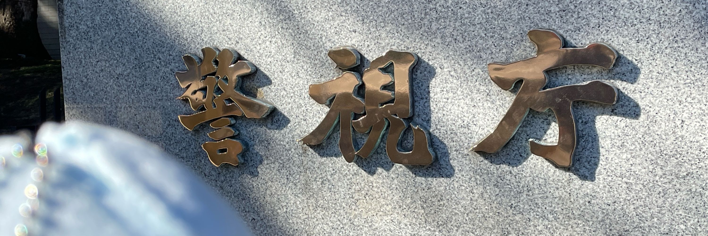 鱧🐟