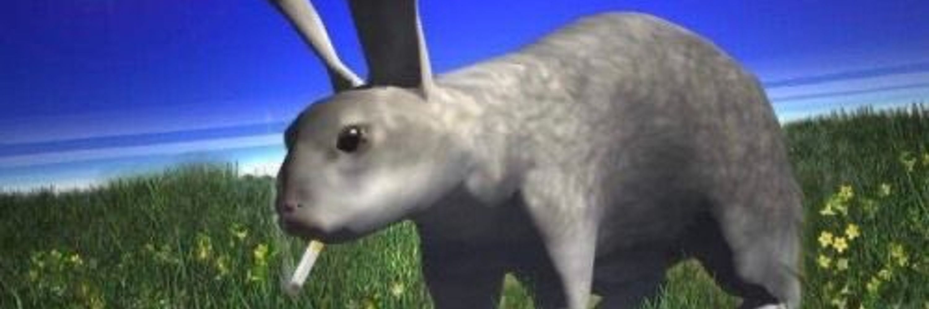 Dingle Dongle