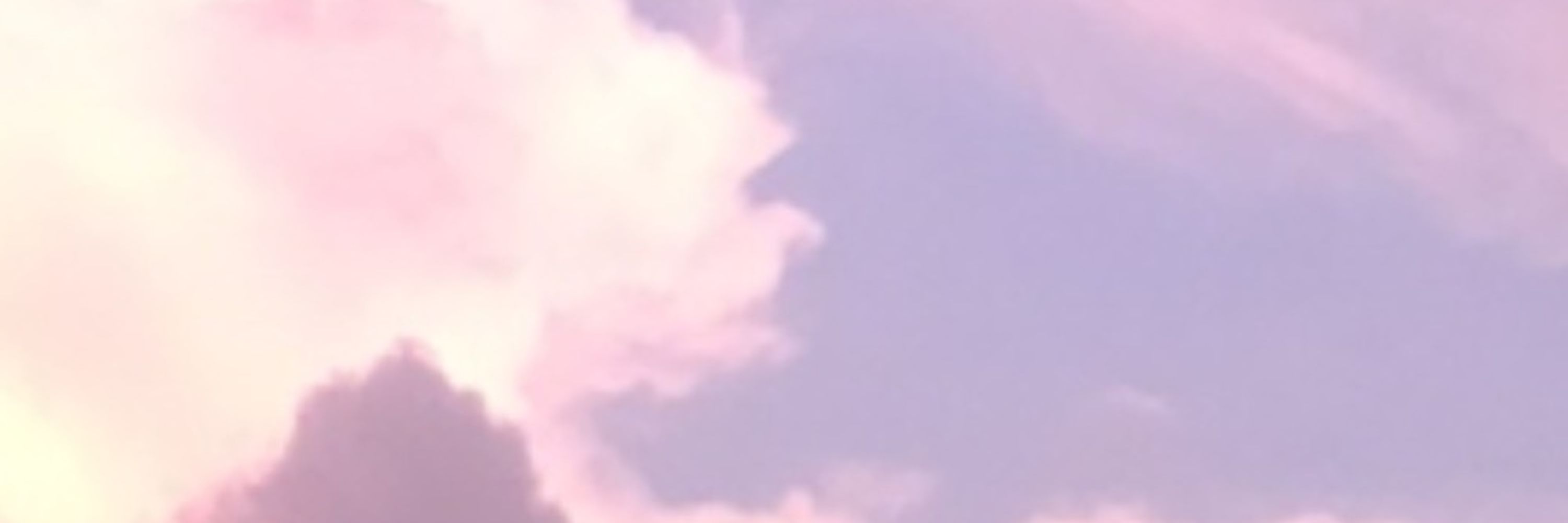표루