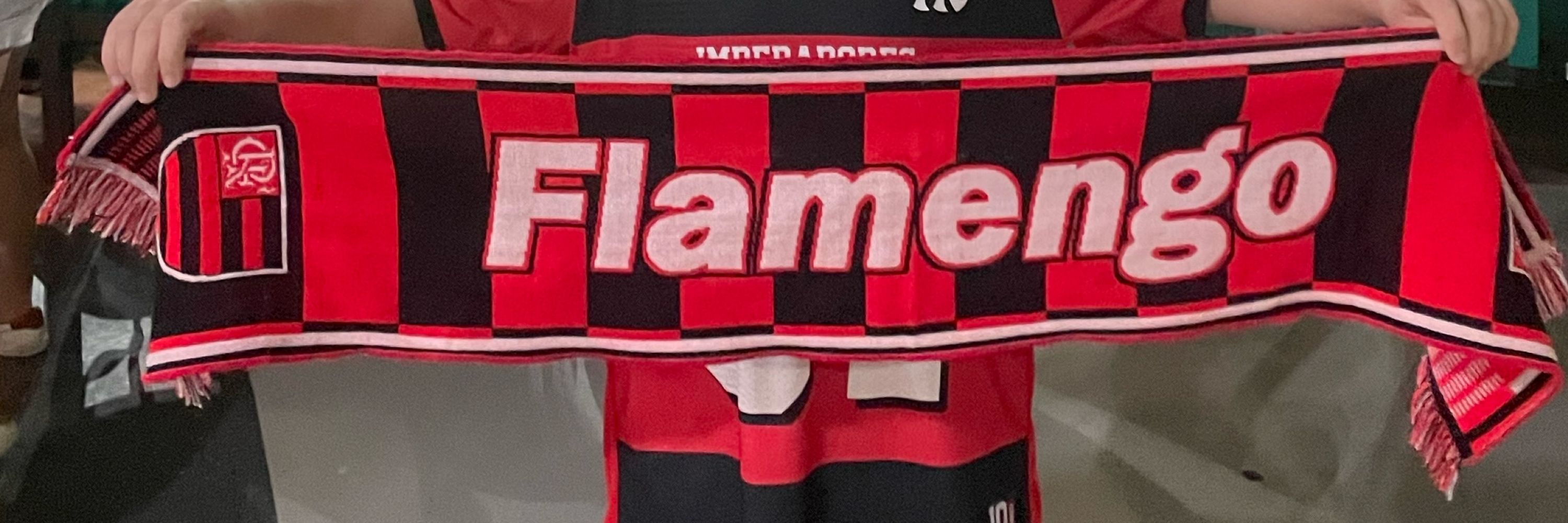 David Teixeira ᶜʳᶠ 🔴⚫️