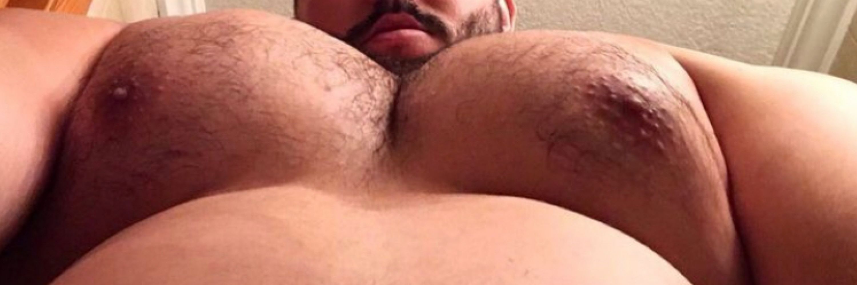 abeefybear