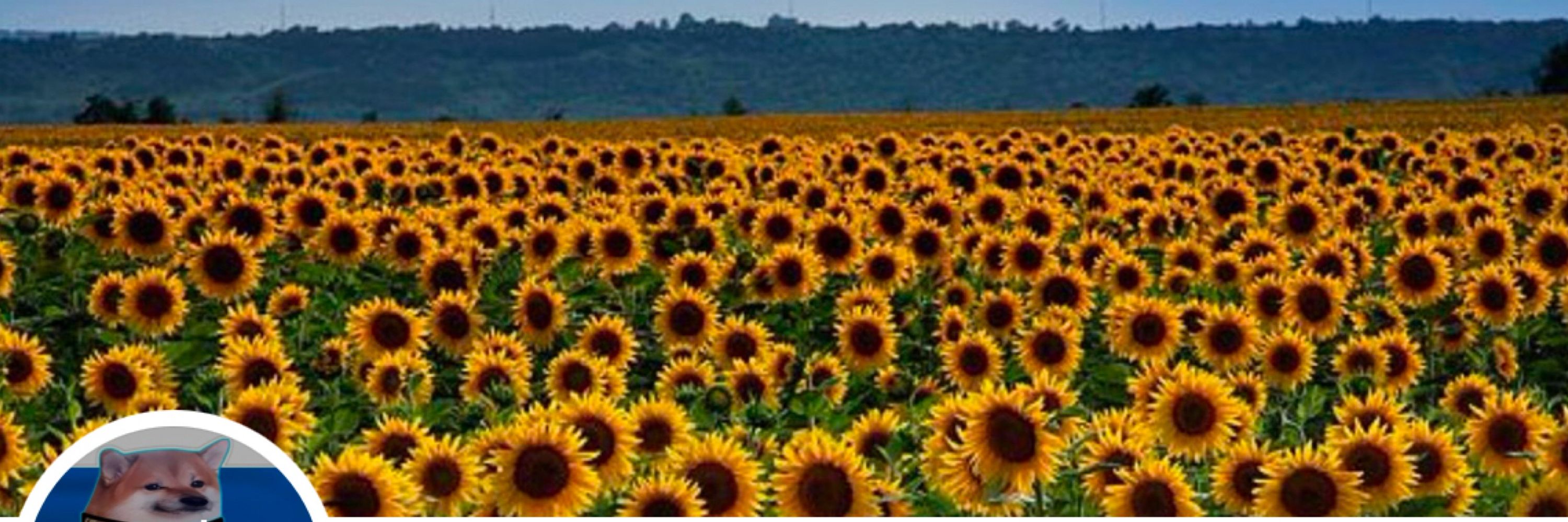 🇺🇦Mark NAFOczuk🌻