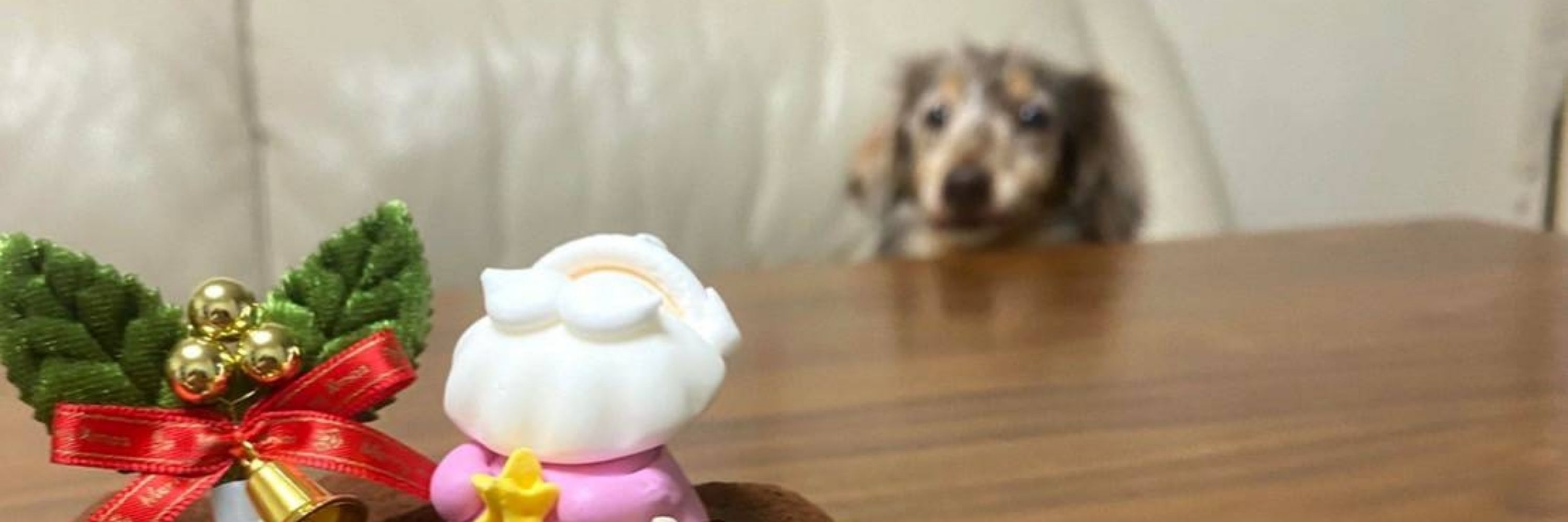 PO犬🐶™ ぴーおーいぬ/ぽいぬ