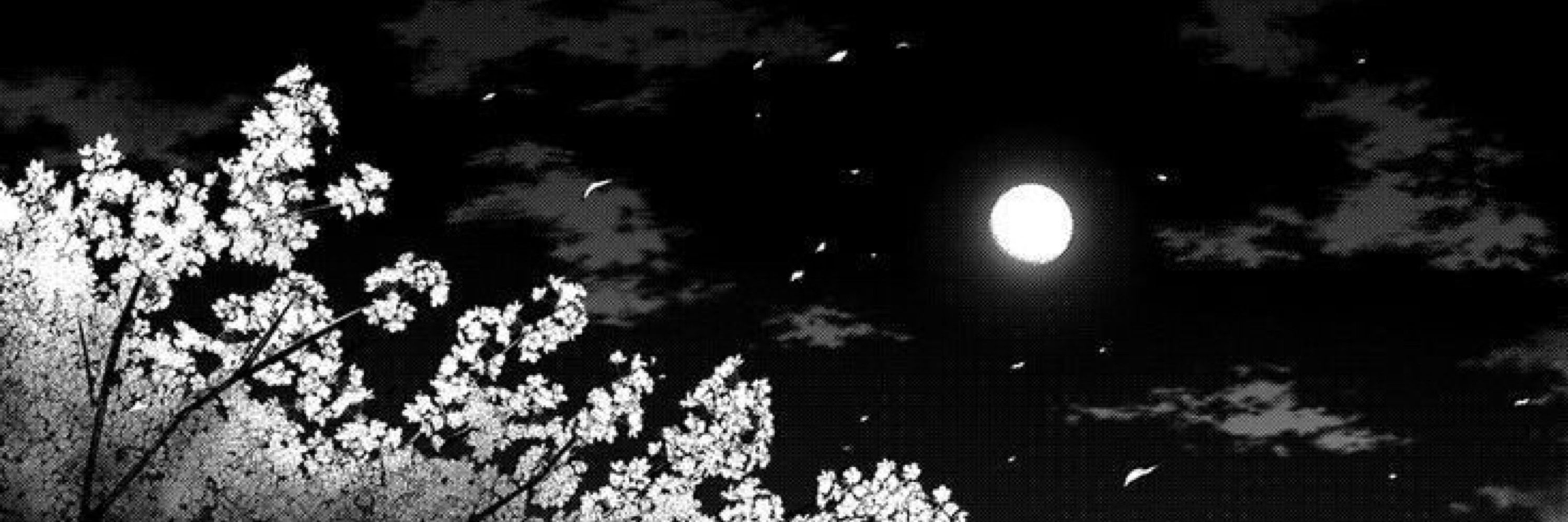 𝙦𝙪𝙖𝙧𝙠 ♡