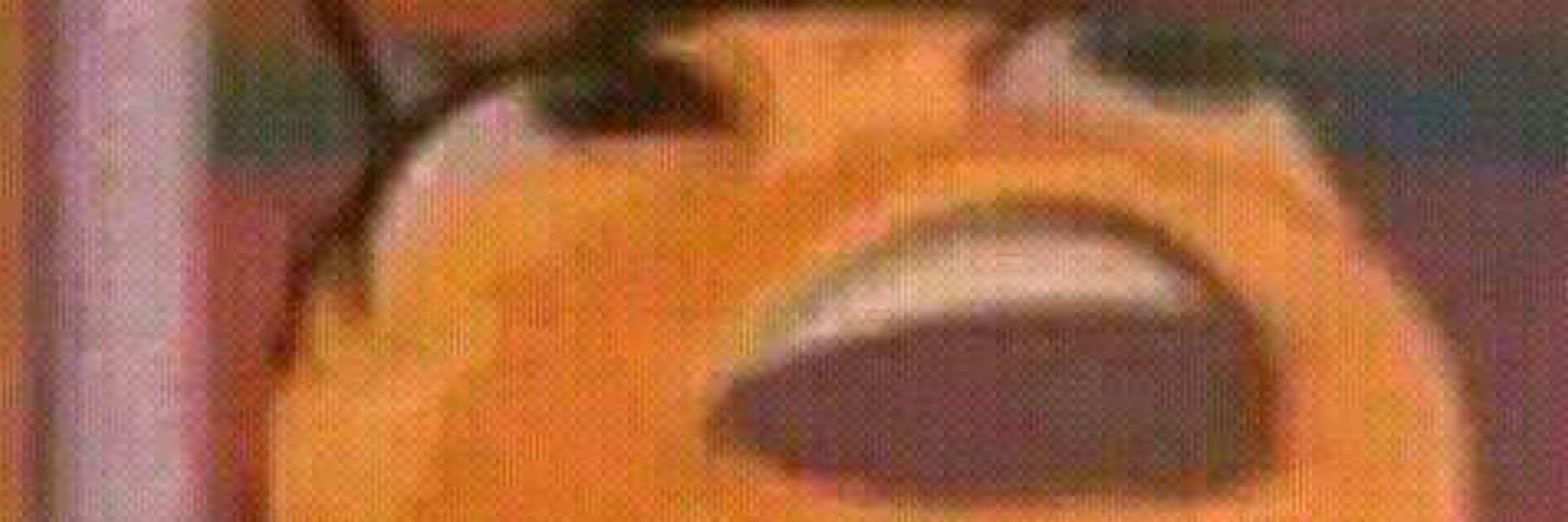abejonculon