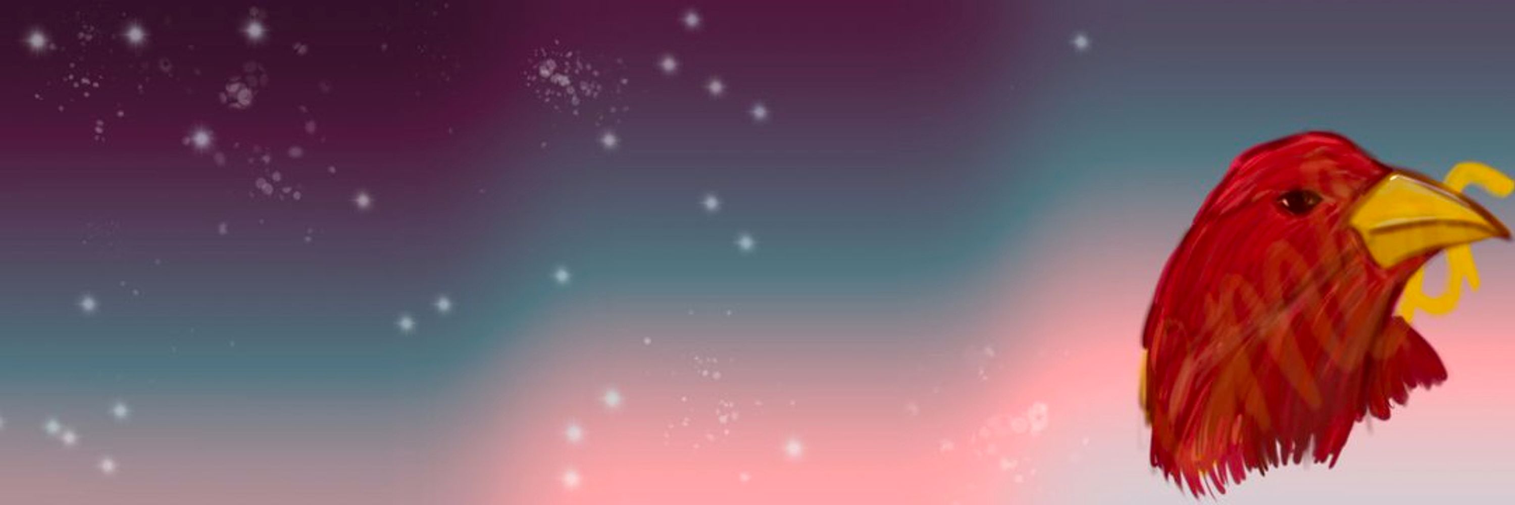 Ember | cr in bio