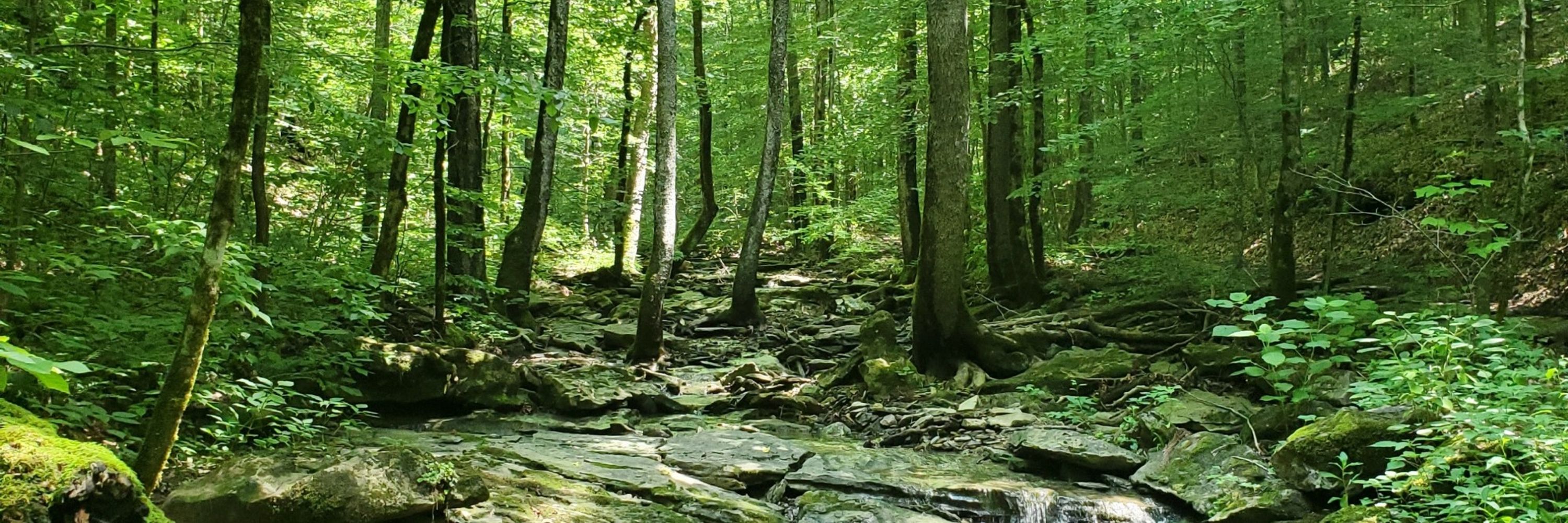Dancing Path Winder