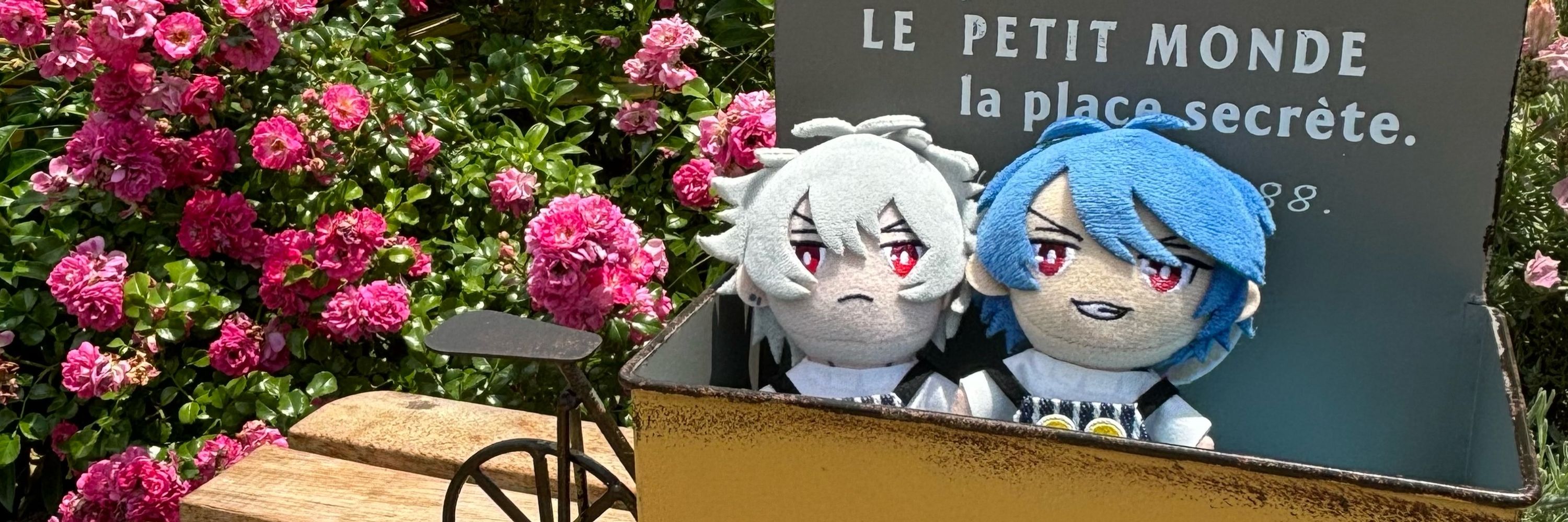 ゆい
