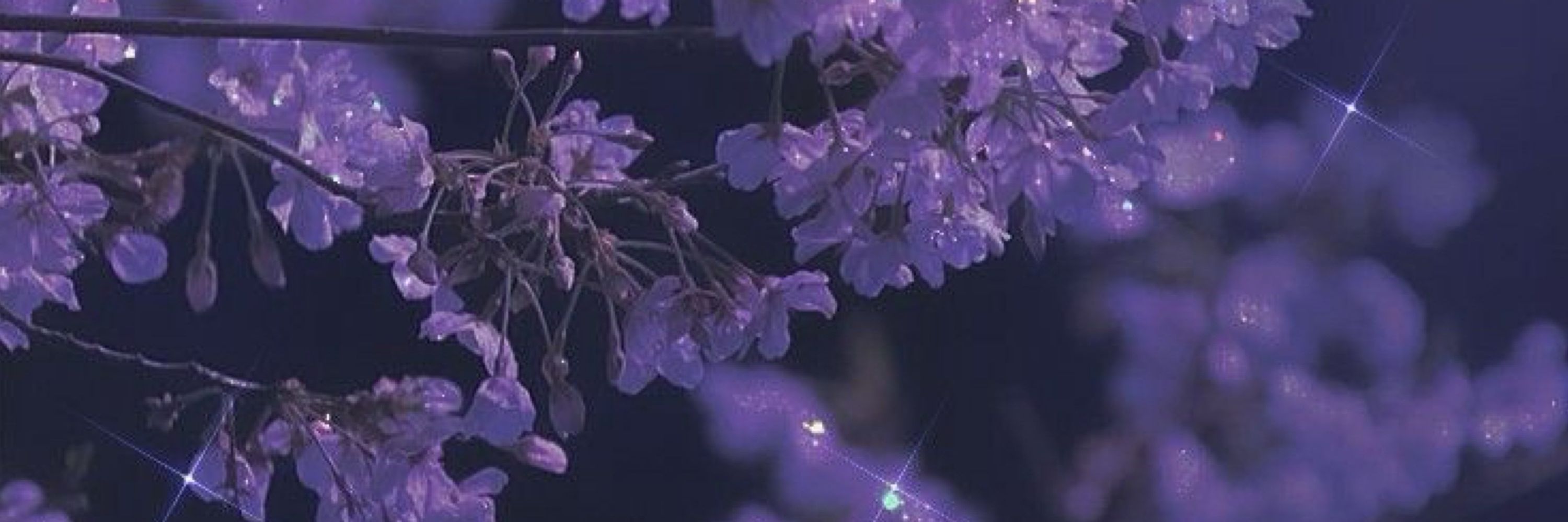 Gavala 🌸