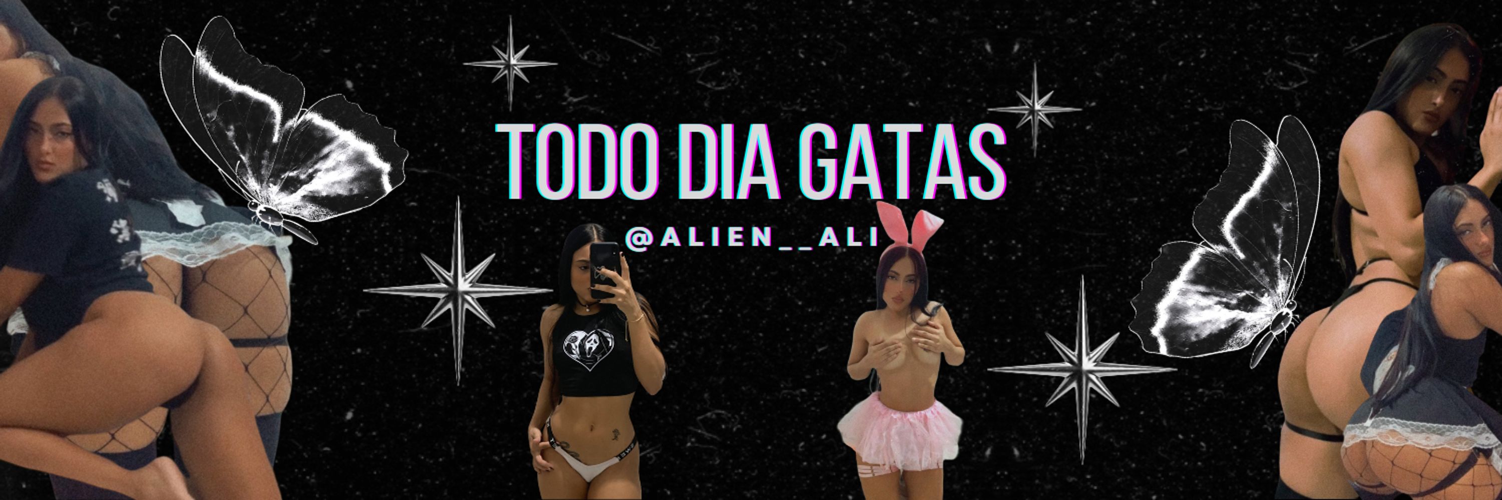 Todo dia gatas